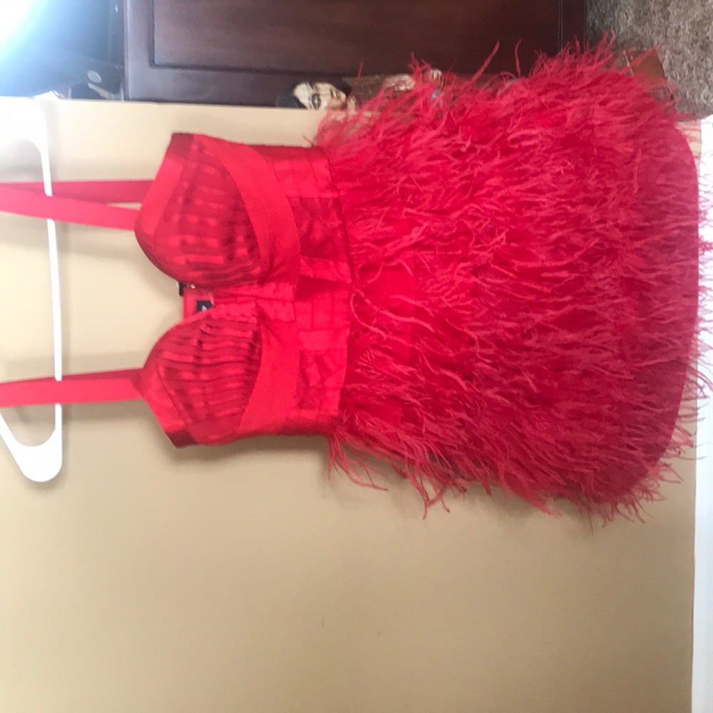 Womans Swan Cocktail Dress